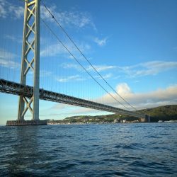 アジは味がいいからアジという。