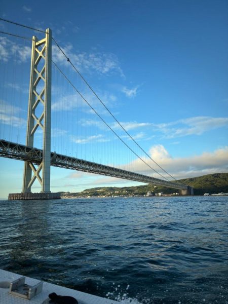 アジは味がいいからアジという。