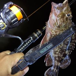 大阪ライトゲーム