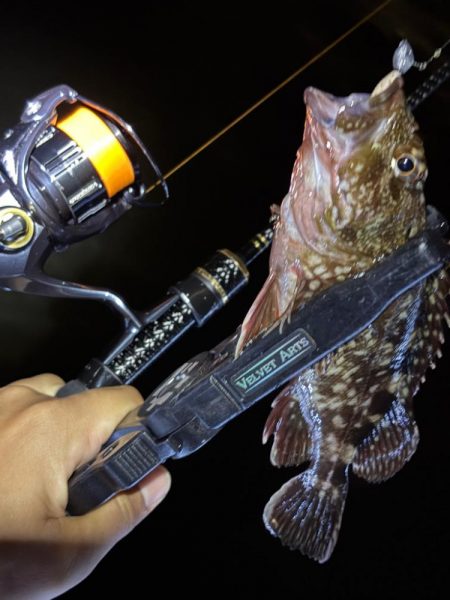 大阪ライトゲーム