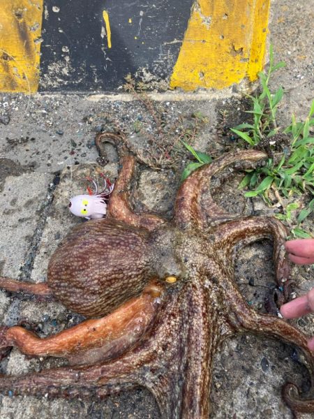 タコ釣り自己ベスト