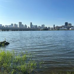 ハゼクラとチヌトップと直リグ!