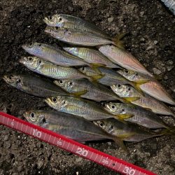 フロートアジング