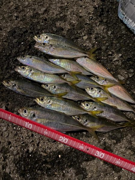 フロートアジング