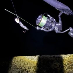 今季初のタチウオ 釣り