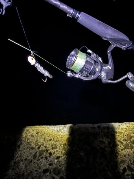 今季初のタチウオ 釣り