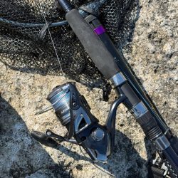 プチ磯デビュー