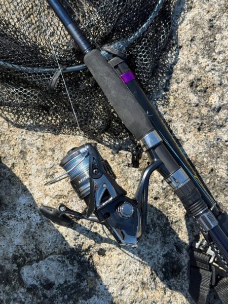 プチ磯デビュー