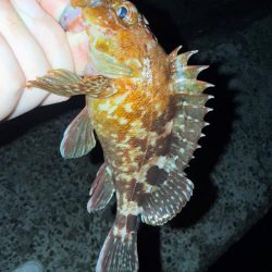 疲れた身体に癒しを求めて…