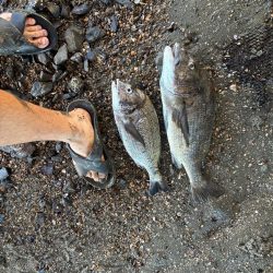 橋脚を狙ってミノーをキャスト！