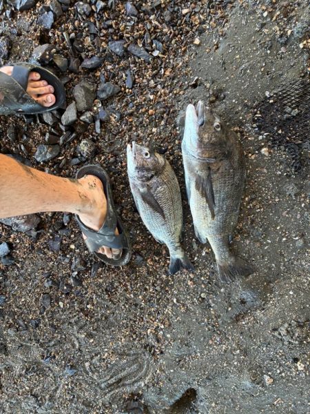 橋脚を狙ってミノーをキャスト！