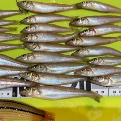 キスのランガン