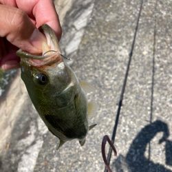 真夏の日中でも