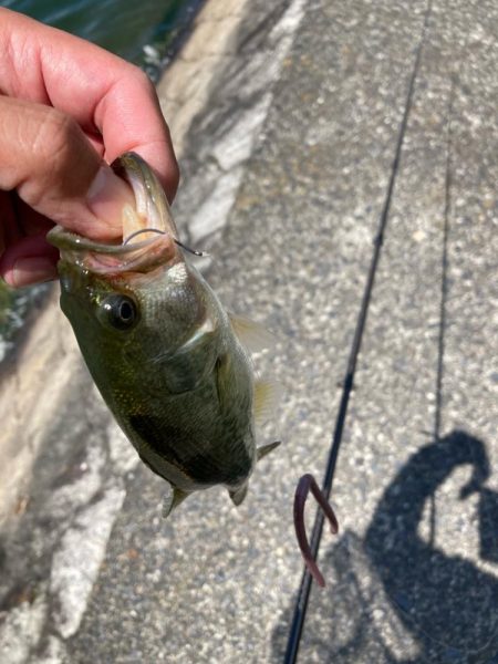 真夏の日中でも