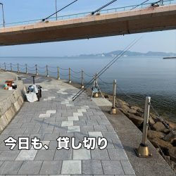 ちょい投げ シロギス釣り