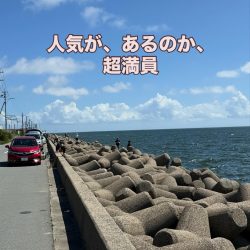 シロギス釣り