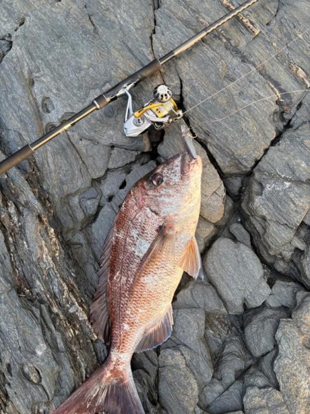 狙い通りと嬉しい外道