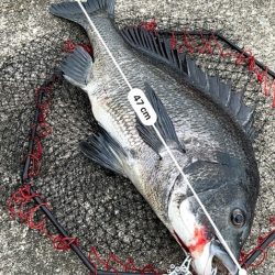 ヘチってきました