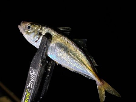 豆しか居ない〜笑笑