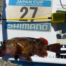 灼熱のシロギスタ