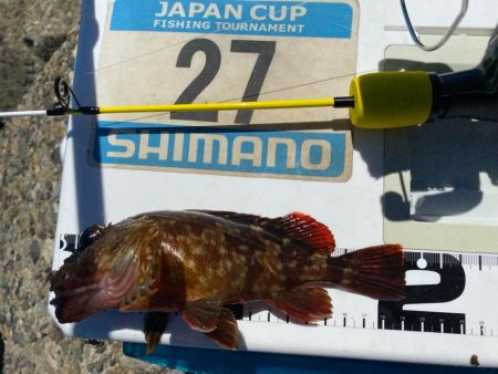 灼熱のシロギスタ