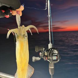 越前イカメタル