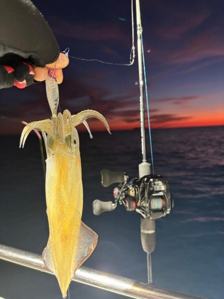 越前イカメタル