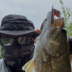 気温35℃！真夏に狙ってきたスモールマウスバス！