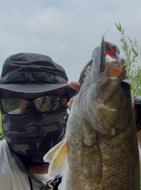 気温35℃！真夏に狙ってきたスモールマウスバス！