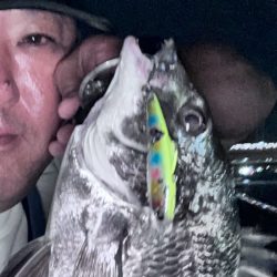 爆風の中の貴重なおチヌさん！