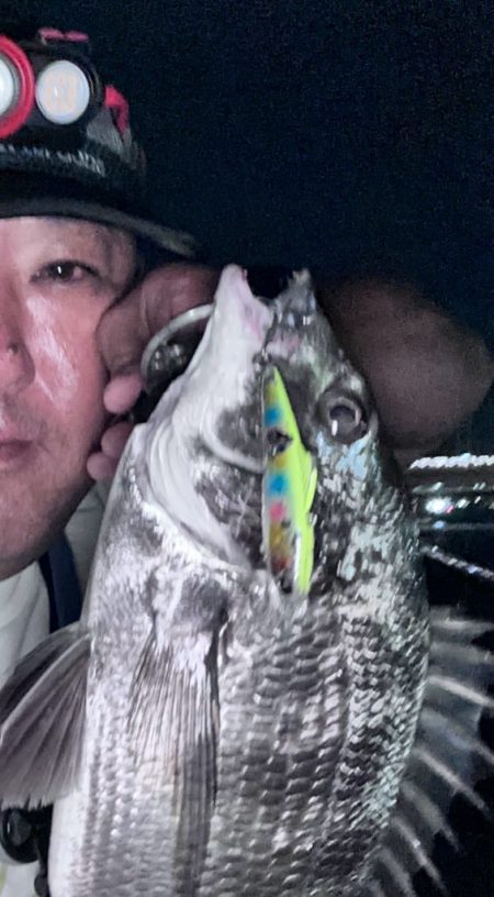 爆風の中の貴重なおチヌさん！