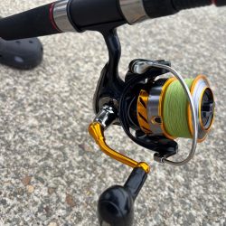 ショアタコ　13