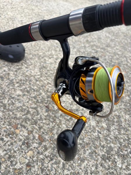 ショアタコ　13