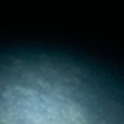 イカはいなイカ?!捜査