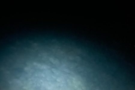 イカはいなイカ?!捜査