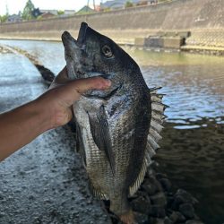 チニング、、、？