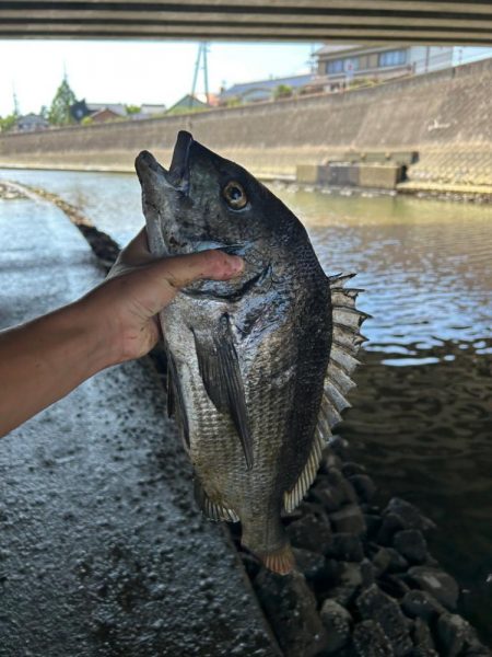 チニング、、、？