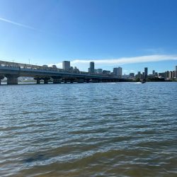 チニングやけど…