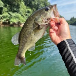 久々のフィールドへ