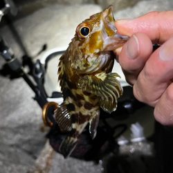 フロートメバリング