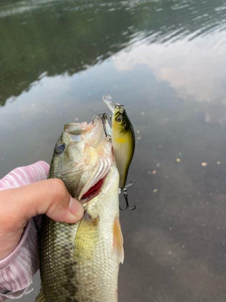 夏のタフったバスにはロングワーム