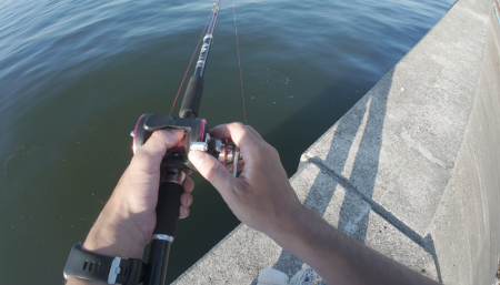 今期初のタコ…シブい