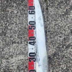 つれればおっきい