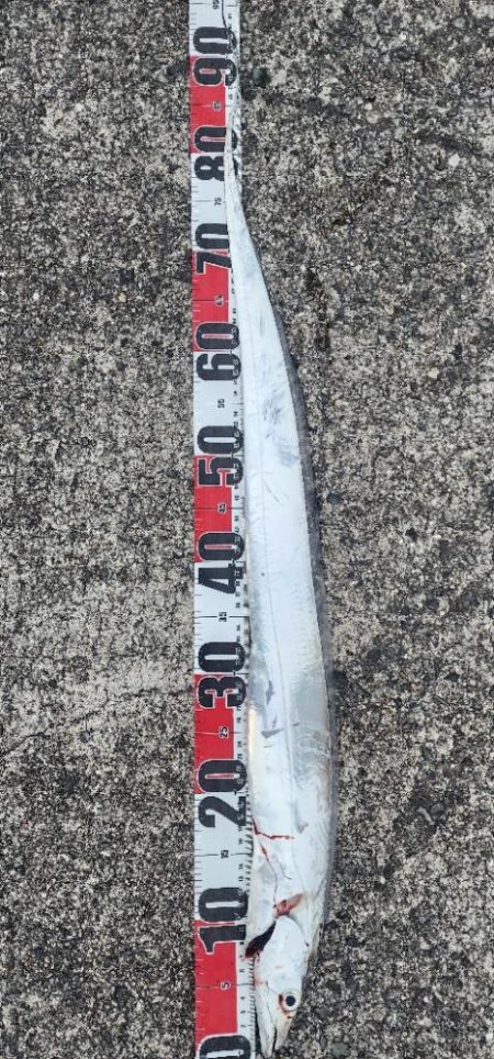 つれればおっきい