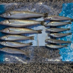 キスを求めて、日本海へ！