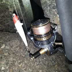 良くない状況の中…