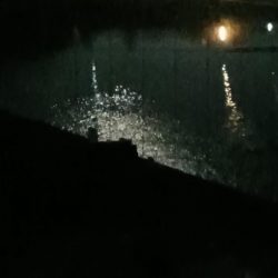 夜行、カサゴ爆釣