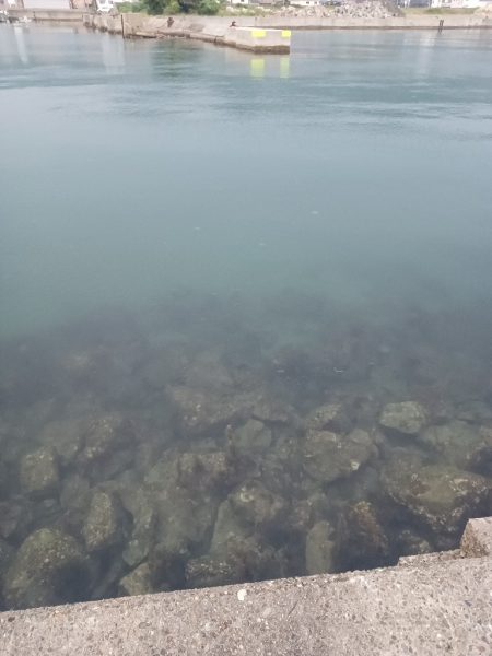 ふらっと夕まぐれ