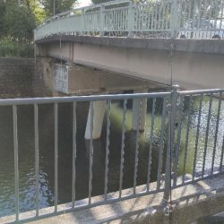 チヌのトップウォーターゲーム