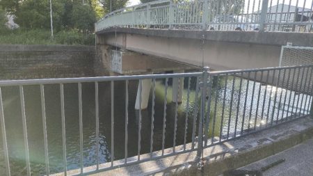 チヌのトップウォーターゲーム